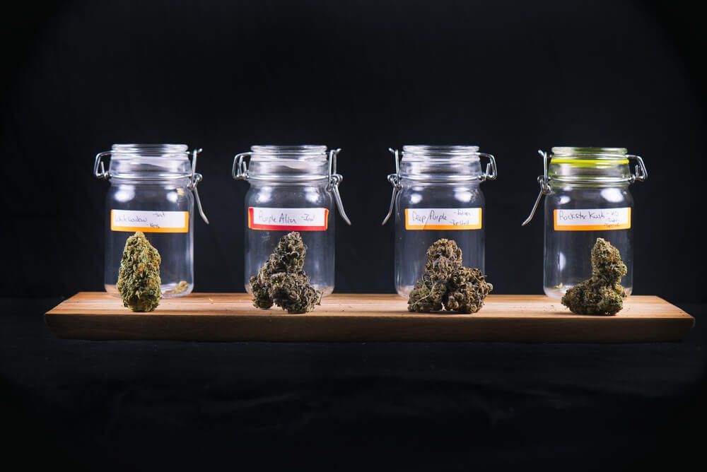 Jars of Marijuana